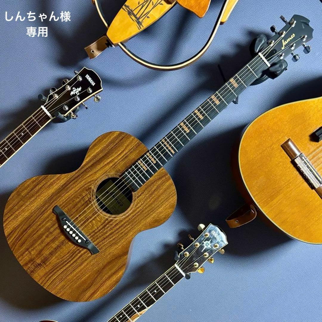 【美品】James アコースティックギターJ-100A MHT ギグケース付属