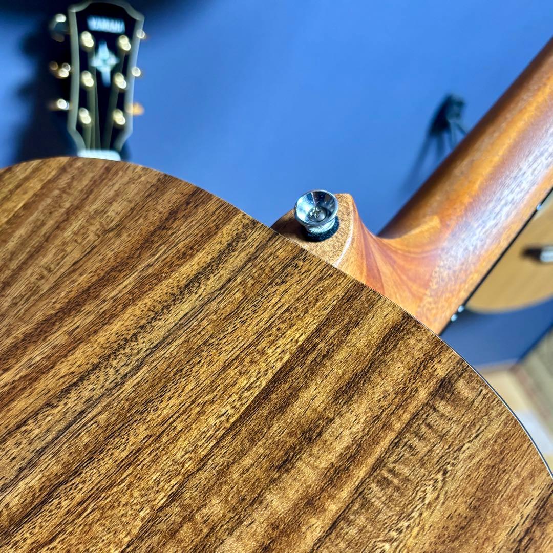 【美品】James アコースティックギターJ-100A MHT ギグケース付属