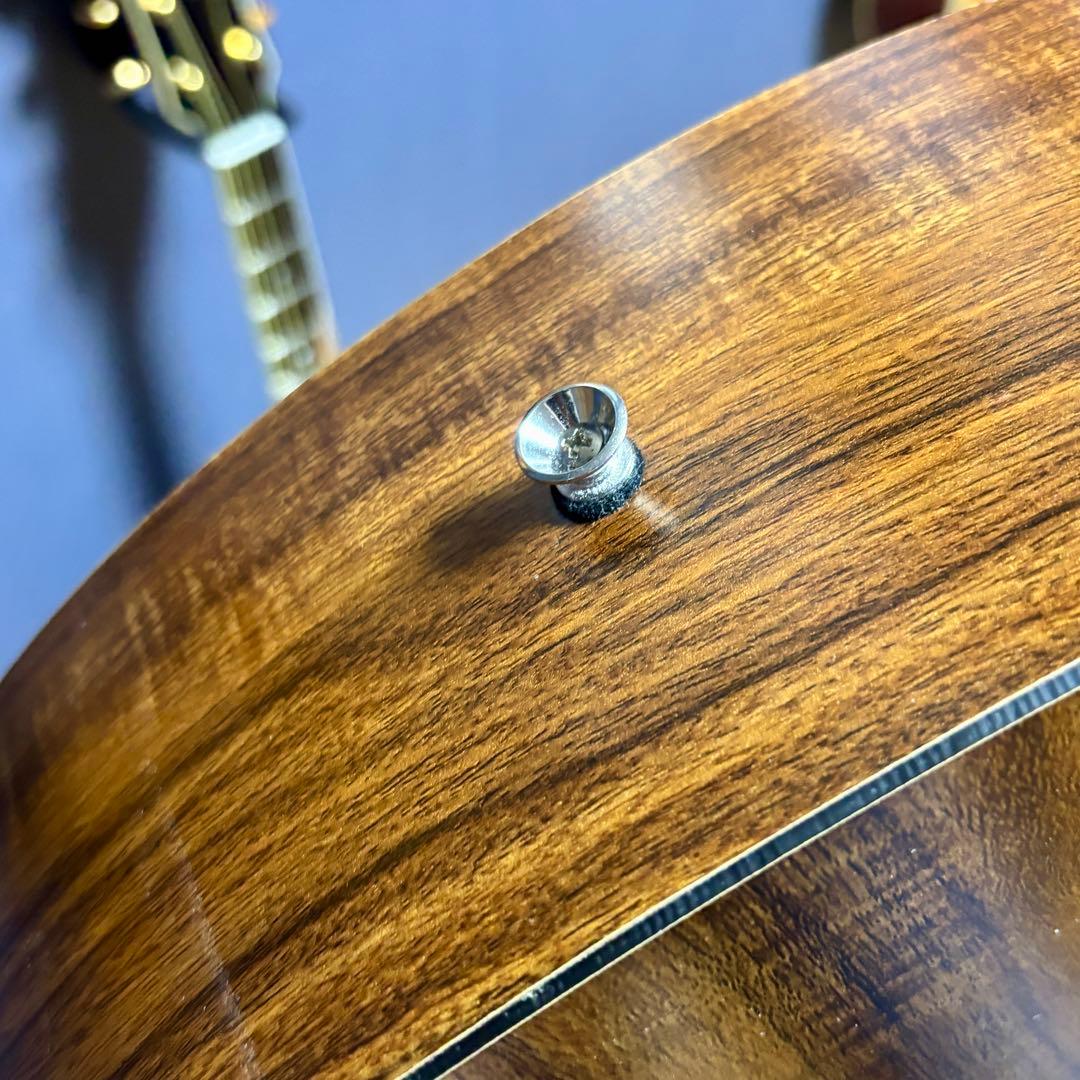 【美品】James アコースティックギターJ-100A MHT ギグケース付属