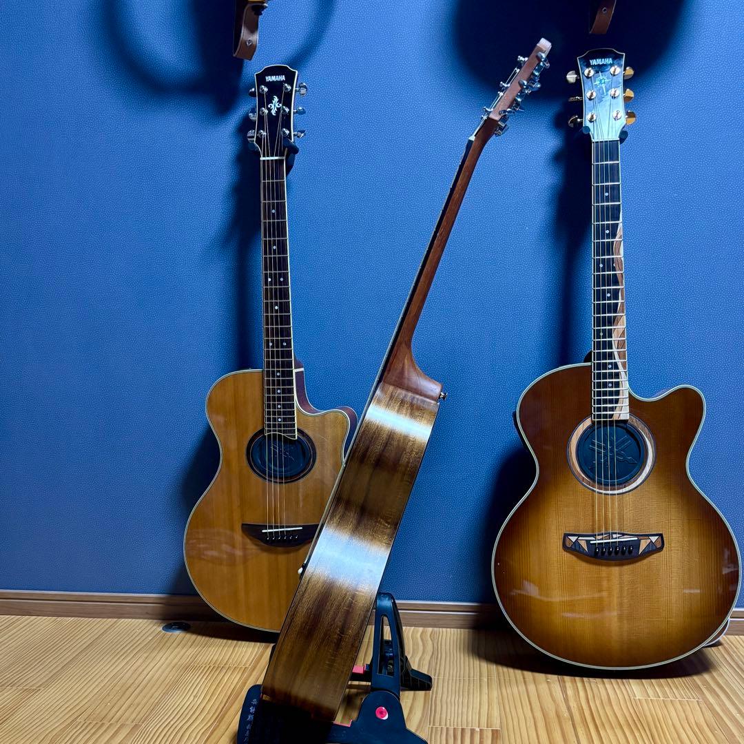 【美品】James アコースティックギターJ-100A MHT ギグケース付属