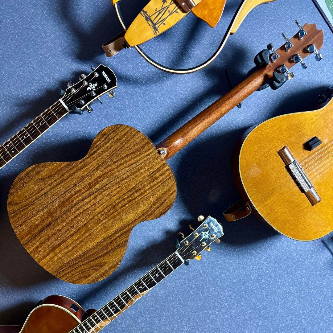 【美品】James アコースティックギターJ-100A MHT ギグケース付属