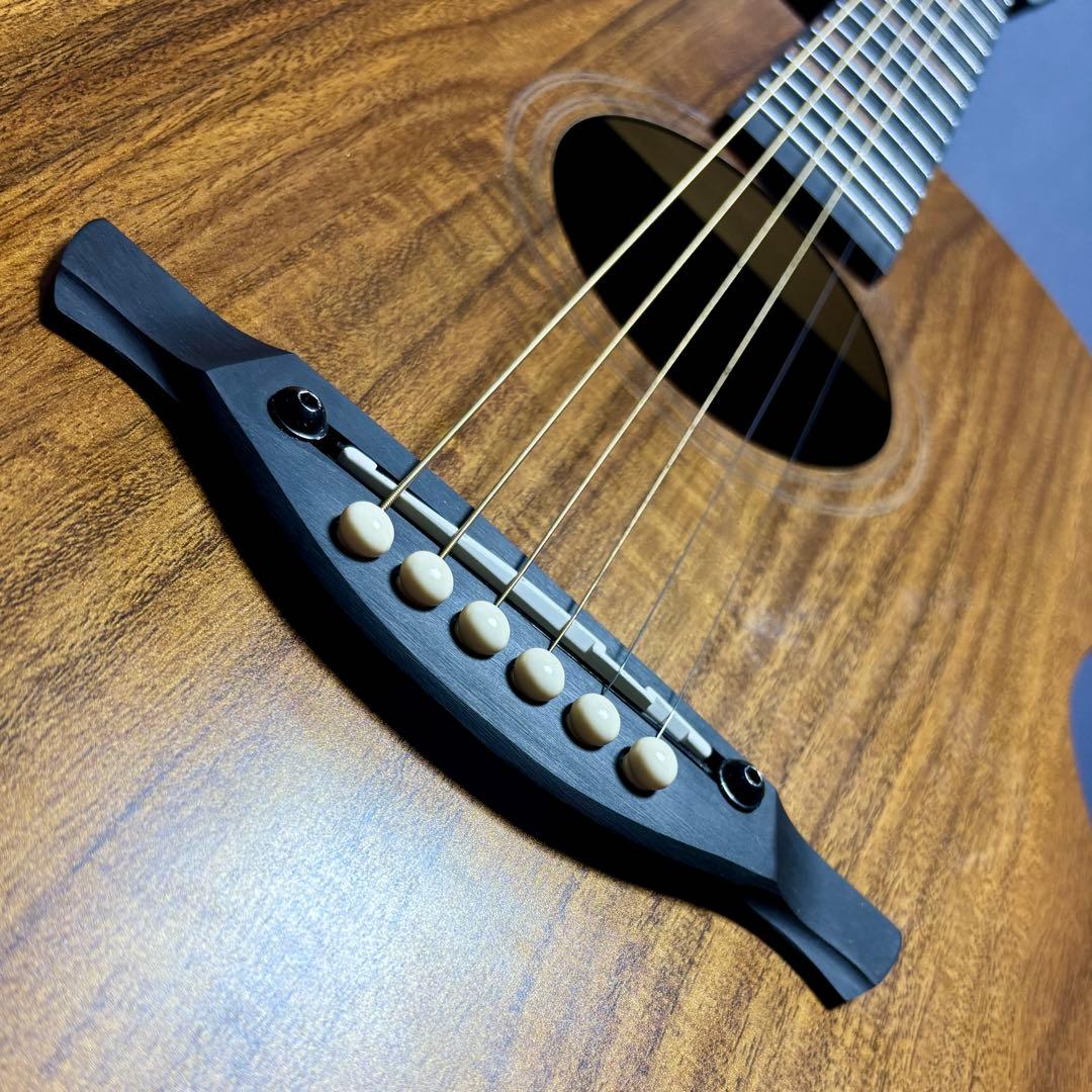 【美品】James アコースティックギターJ-100A MHT ギグケース付属