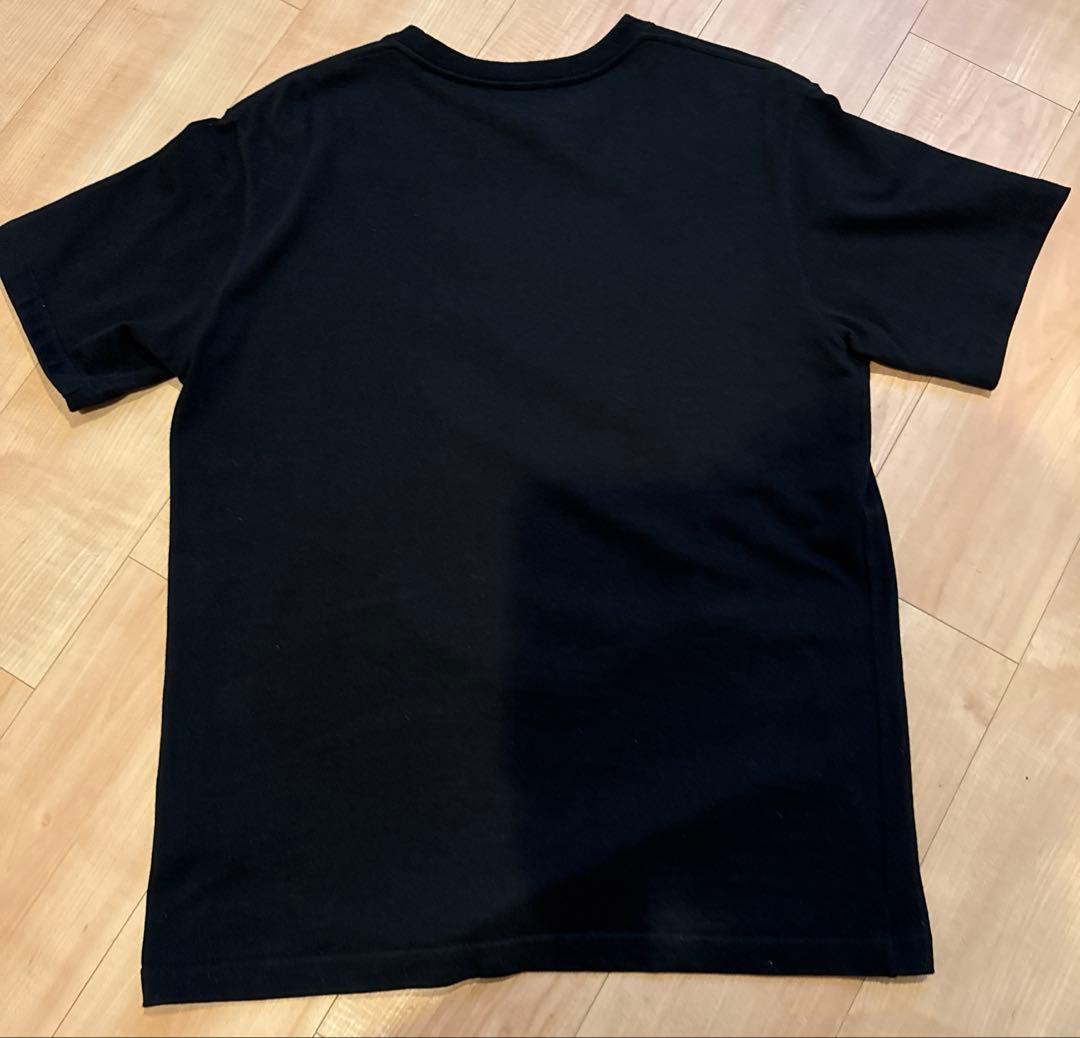 Dior ディオール ダニエルアーシャム Tシャツ Lサイズ