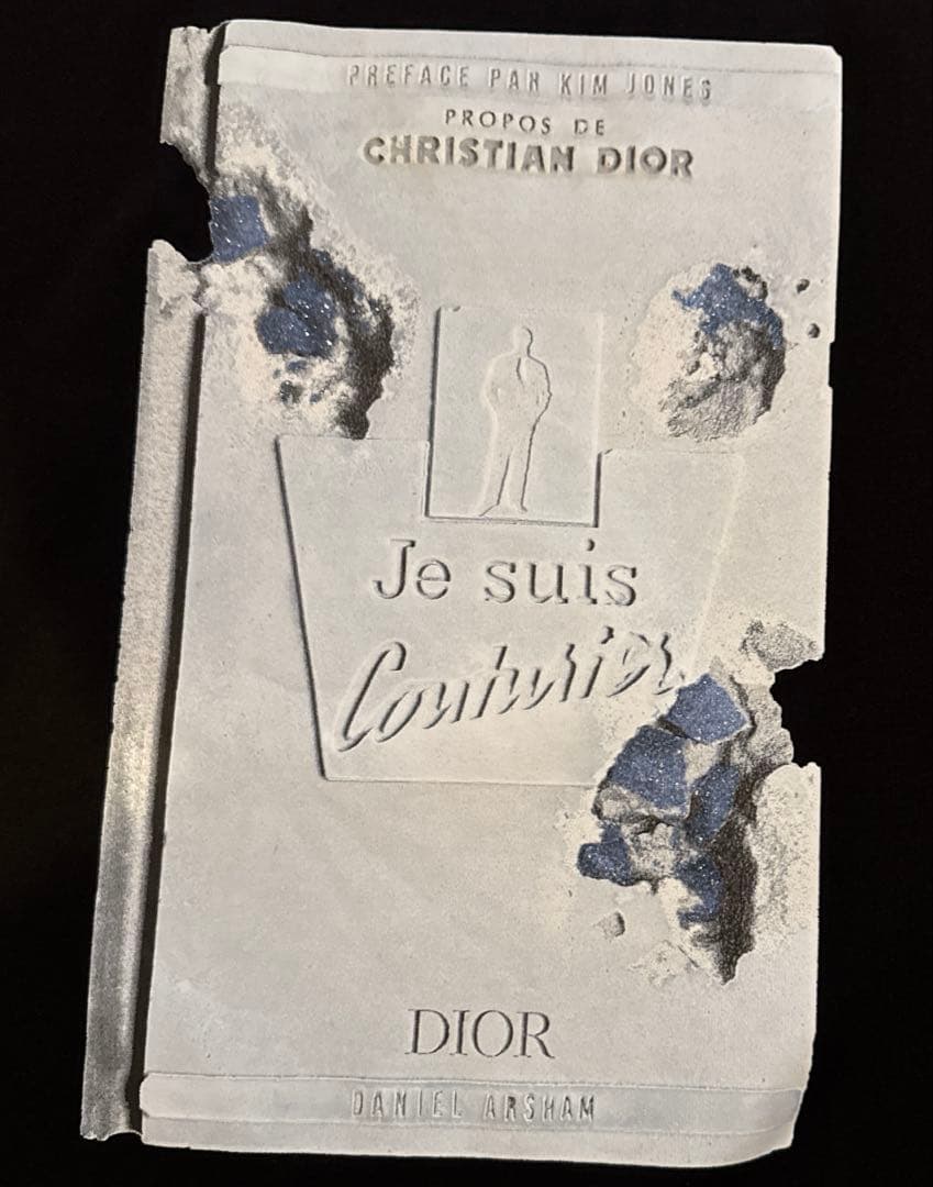 Dior ディオール ダニエルアーシャム Tシャツ Lサイズ