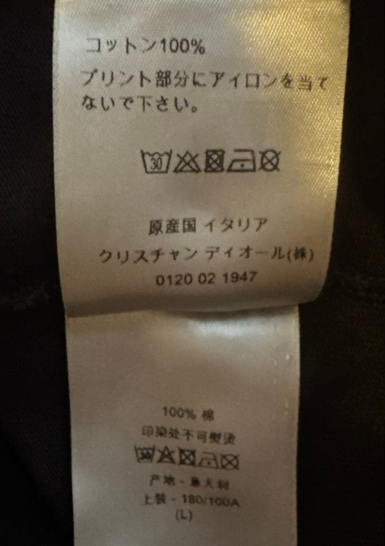 Dior ディオール ダニエルアーシャム Tシャツ Lサイズ