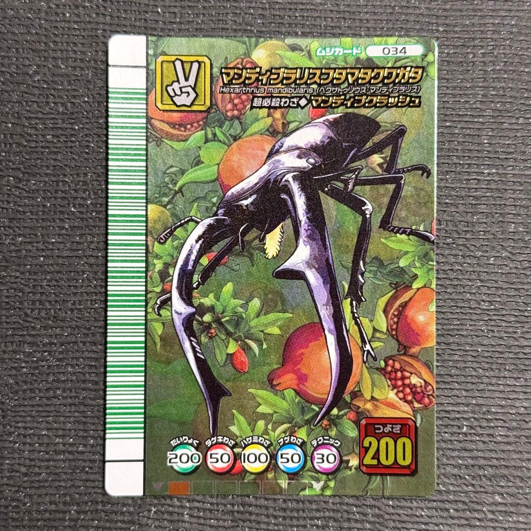 最終値下げ❗️ ムシキング 5周年 マンディブラリスフタマタクワガタ 緑バーコード