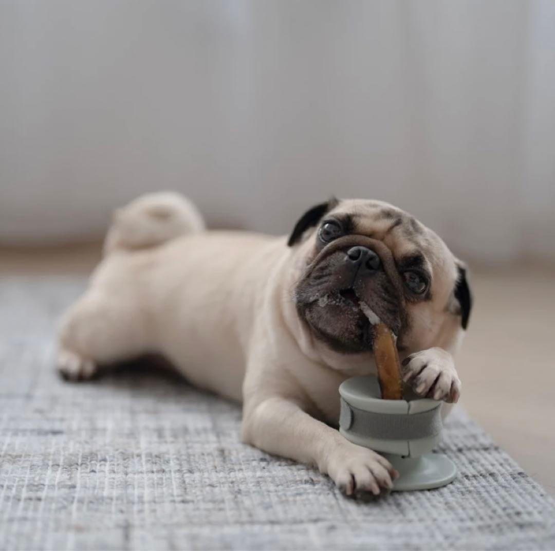 LUNOJI チューデングリップ　2個セット　おやつ丸飲み防止