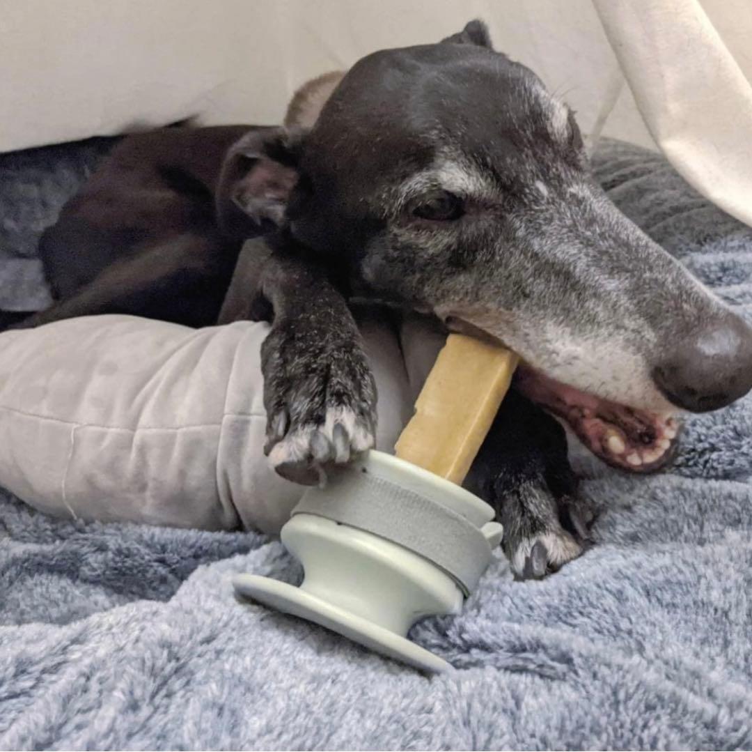 LUNOJI チューデングリップ　2個セット　おやつ丸飲み防止