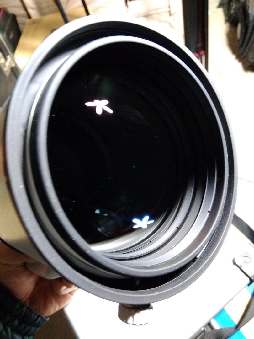 Sony 300mm F2.8 G + テレコンバーター + マウントアダプター