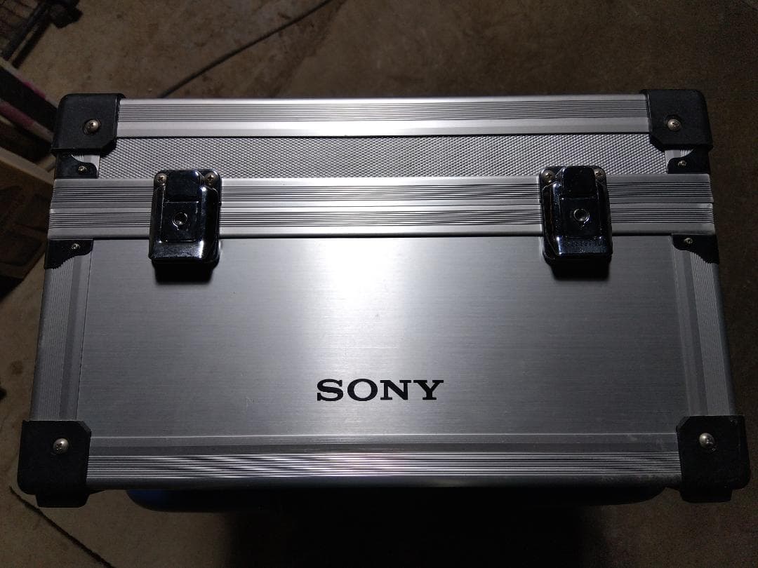 Sony 300mm F2.8 G + テレコンバーター + マウントアダプター