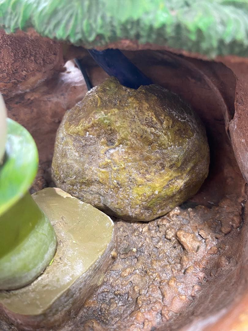 ☆稀少・廃盤品☆となりのトトロ　「はっぱのかさ」　ウォーターガーデン　ジブリ