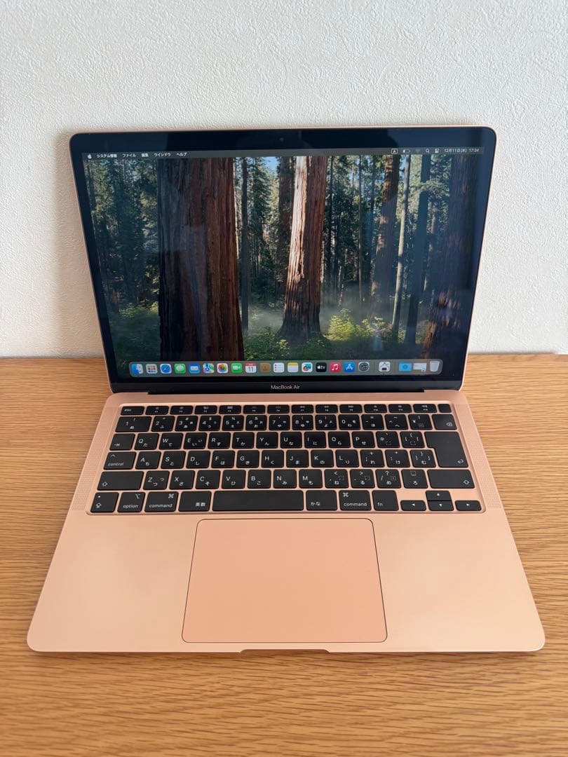 MacBook本体 Intel Iris Plus Graphics 1536 MB