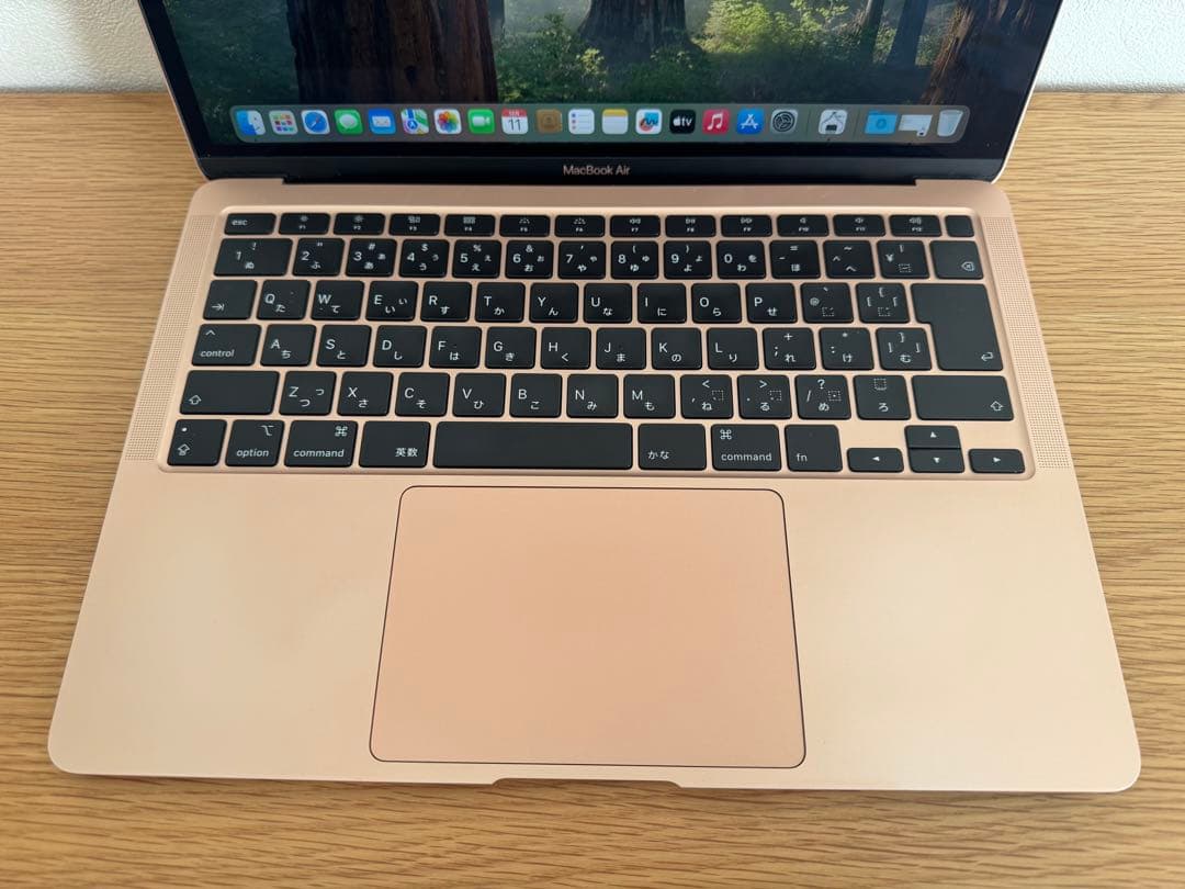 MacBook本体 Intel Iris Plus Graphics 1536 MB
