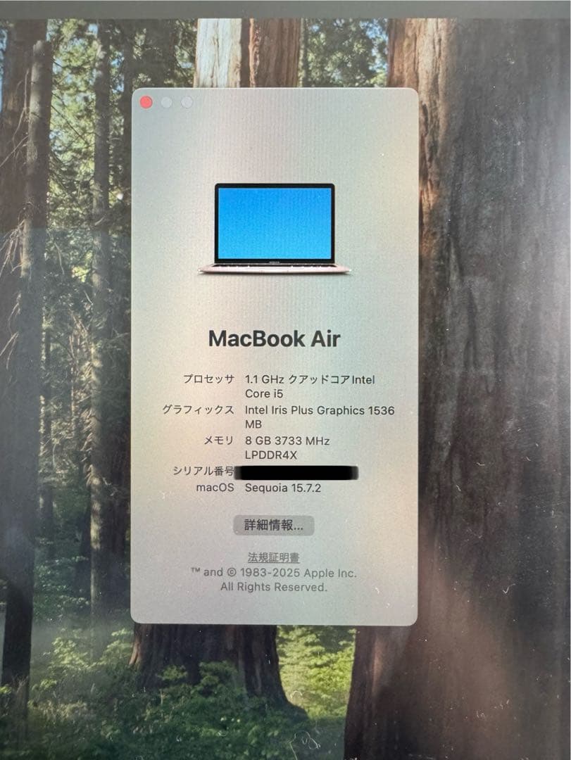 MacBook本体 Intel Iris Plus Graphics 1536 MB