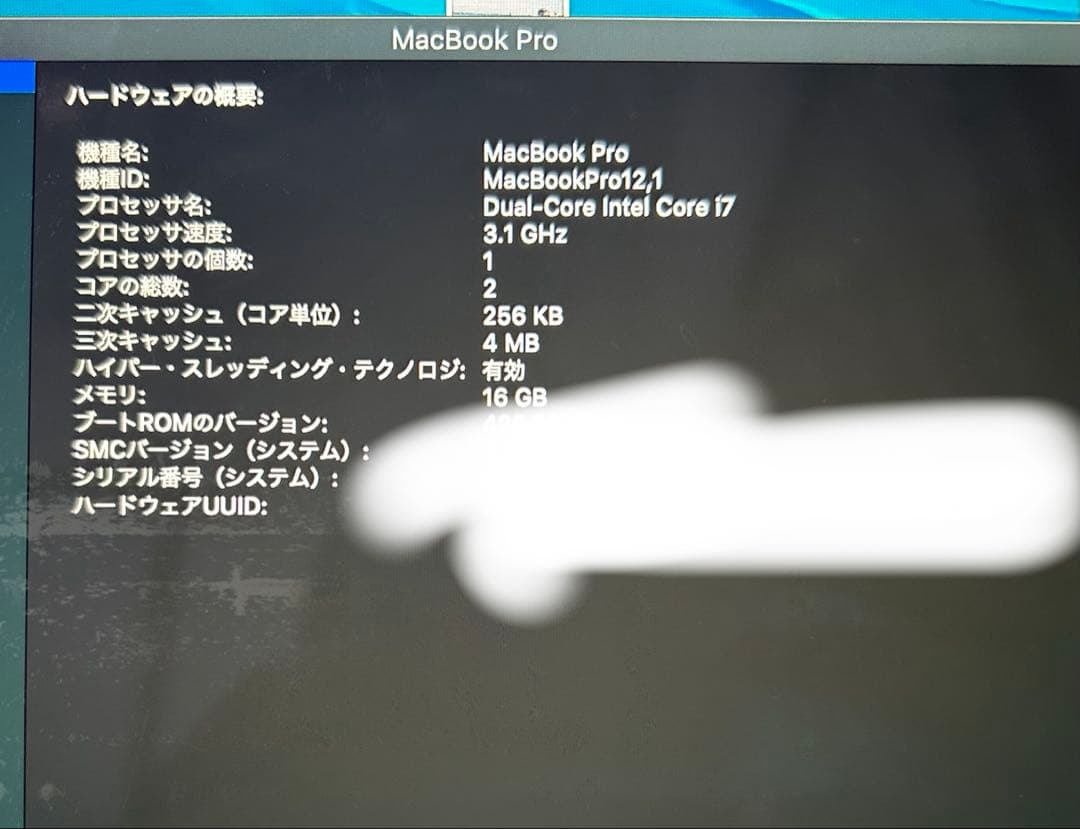 Apple MacBook Pro Early 2015 13インチ