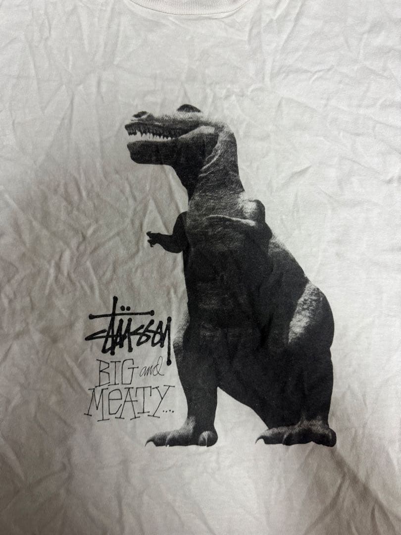 90s〜00s Stussy 恐竜 Tシャツ Mサイズ USA製