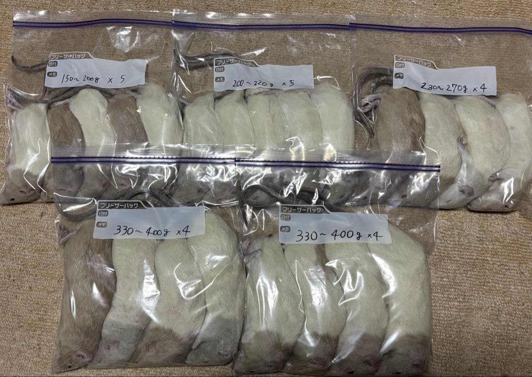 ラット　冷凍　75匹　70〜270gミックス