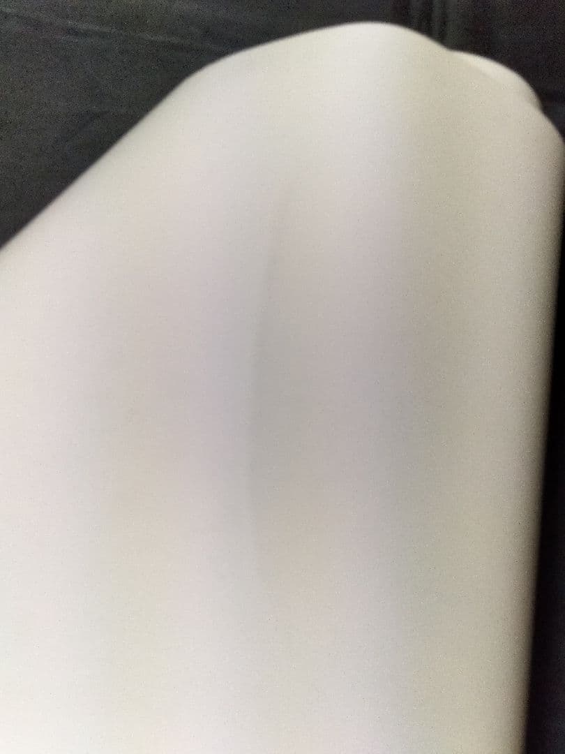 1996年　バイオハザード　ポスター　洋館見取り図　ジル編　バイオハザードⅡ