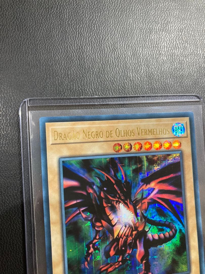 遊戯王 真紅眼の黒竜 ファラオズウルトラ ポルトガル版 EU版 レッドアイズ