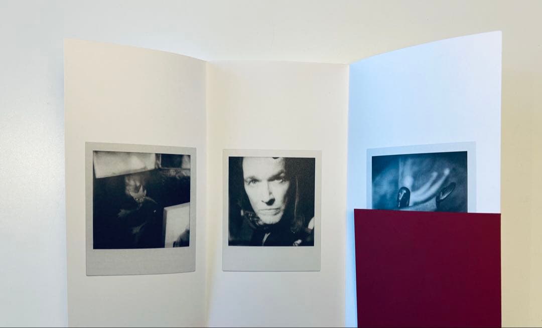 デヴィッド・シルヴィアン　ポラロイド写真集