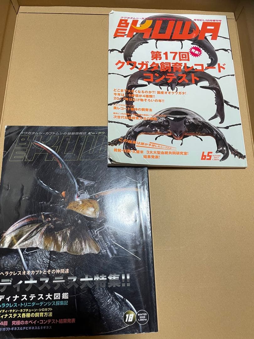 ビークワセット　他