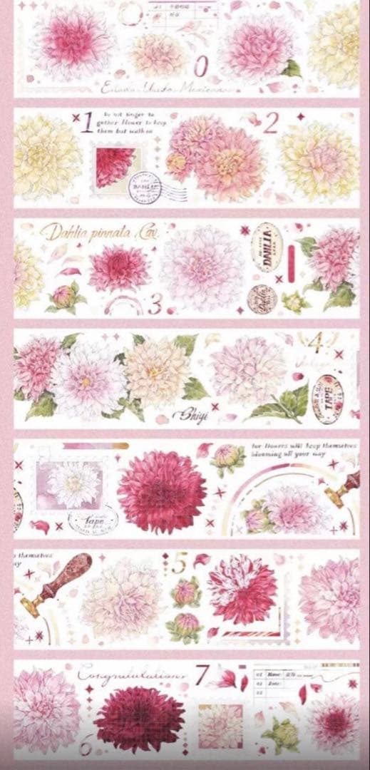 セール12 海外 PETテープ マスキングテープ