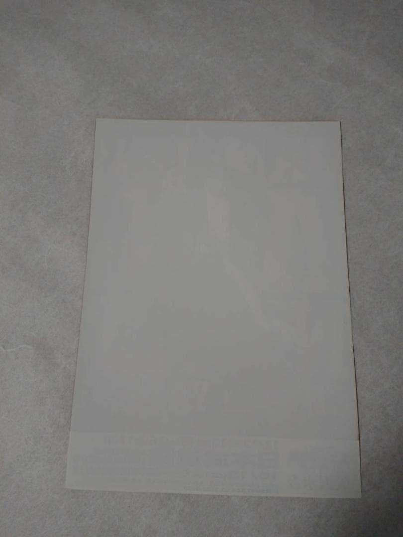 ★矢沢永吉・2012年・日本武道館・B5サイズチラシ