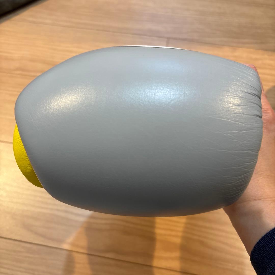 PRIZE RING ボクシンググローブ 14oz とパンチングミット