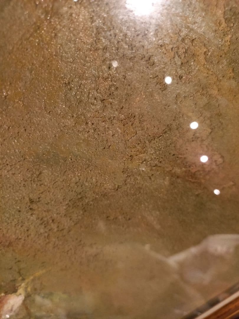 大和修治　野の花　油彩　キャンバス　額装 現代洋画精鋭選抜金賞　サイン入