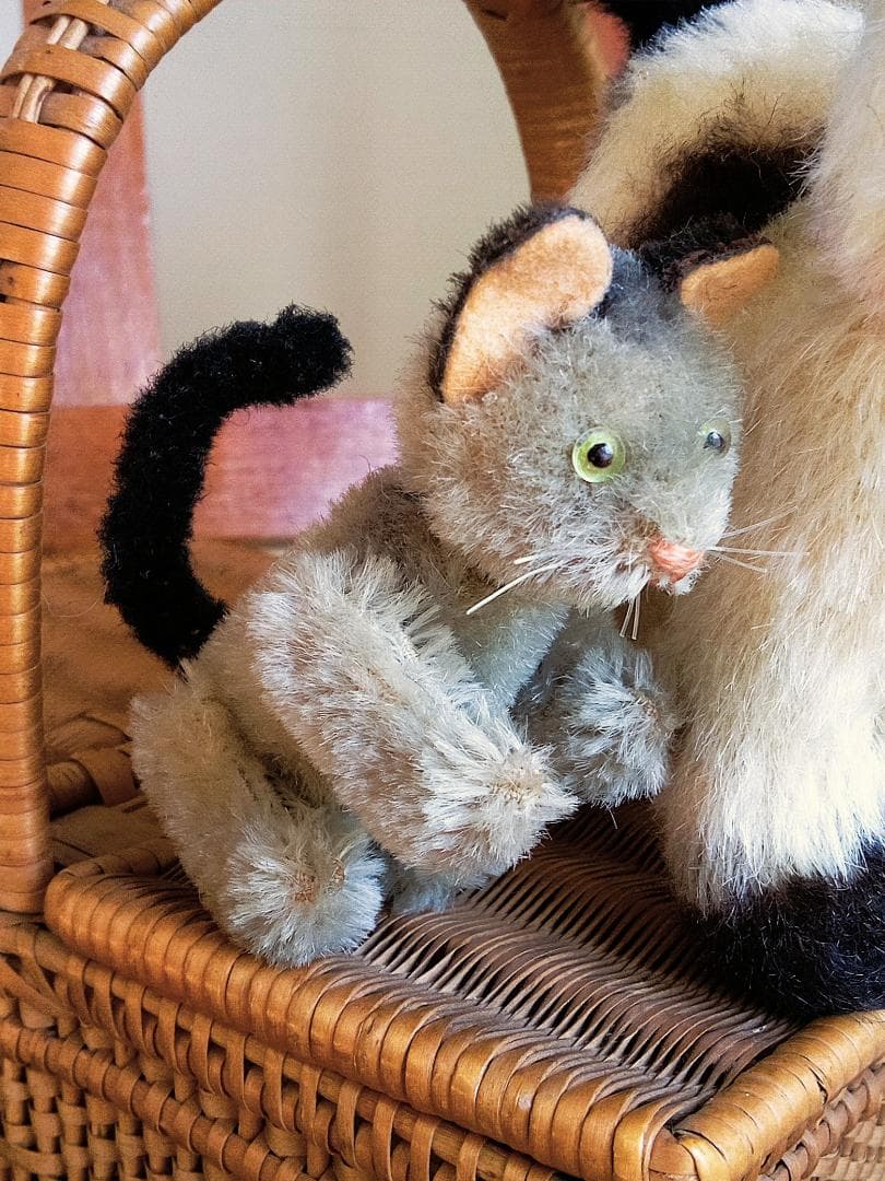 ガラス目の灰色猫さん　耳黒　シュコー　グレーキャット　ノアの箱舟シリーズ