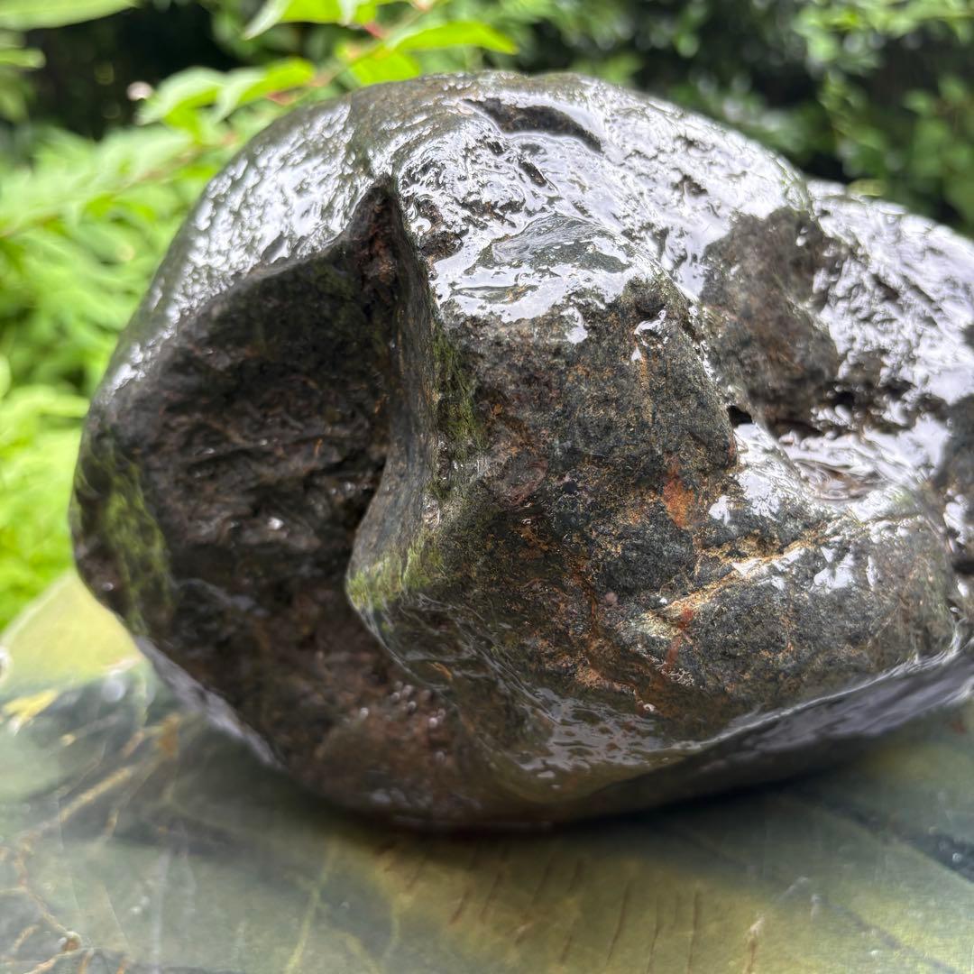 【お値下げ！希少 大型八海山石22.1kg ウブ石】アクアリウム 親石　ジャグレ