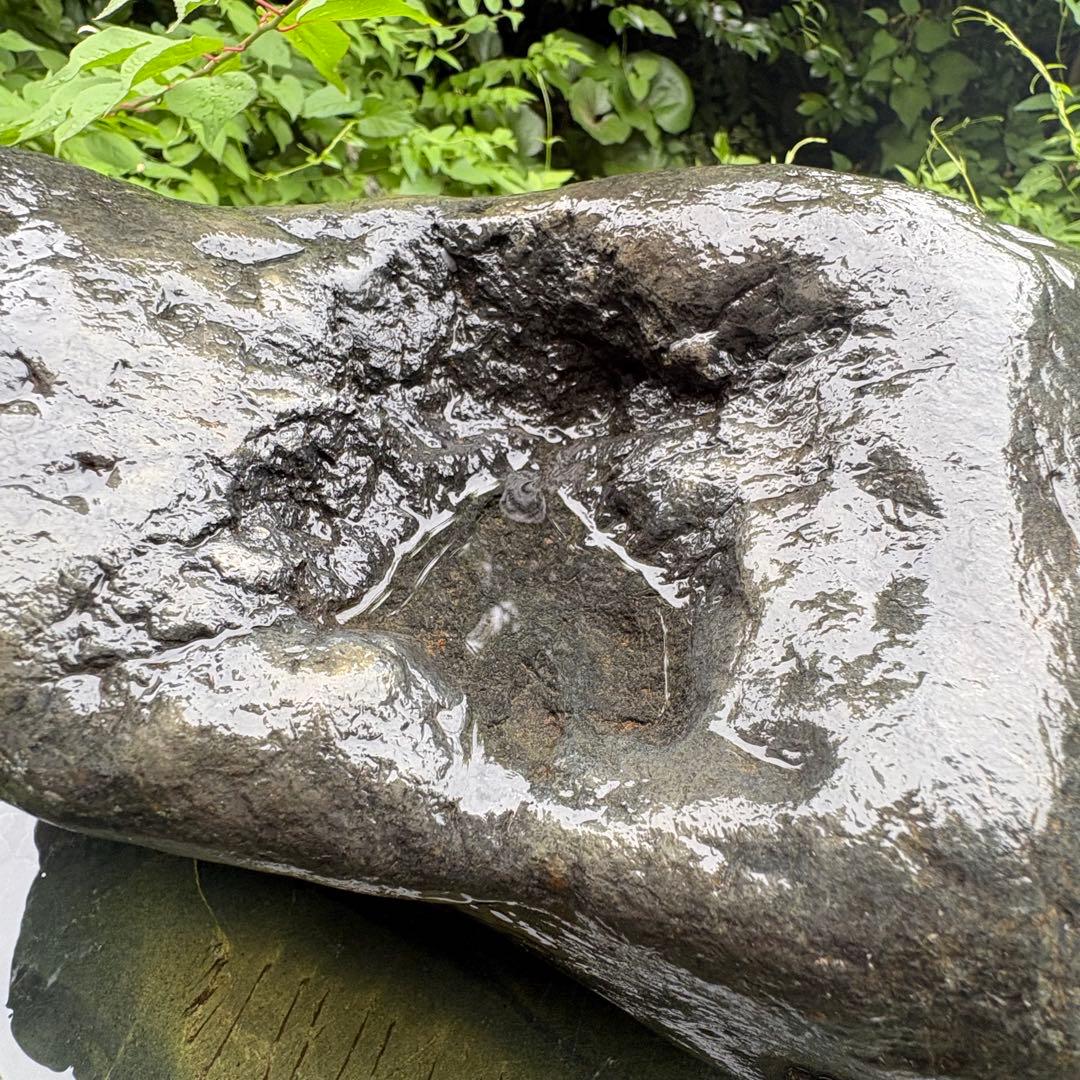 【お値下げ！希少 大型八海山石22.1kg ウブ石】アクアリウム 親石　ジャグレ