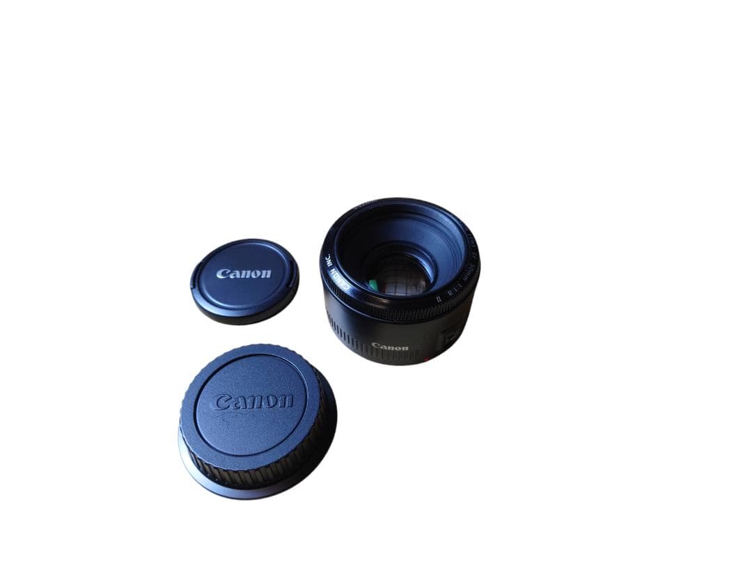 Canon EF50mm F1.8 Ⅱ ✨美品✨ 人気 単焦点レンズ 背景ボカシ