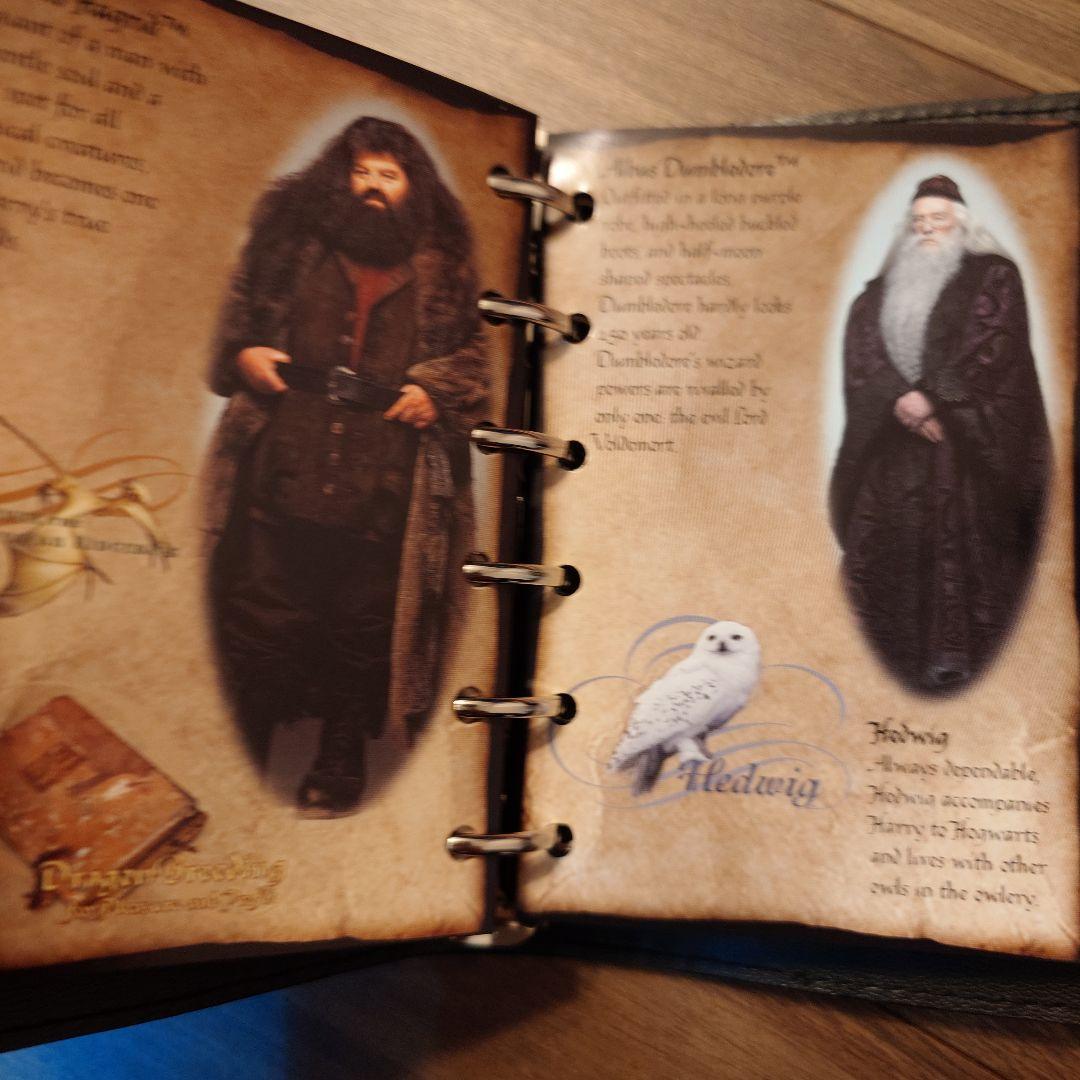 ハリーポッター　ブック