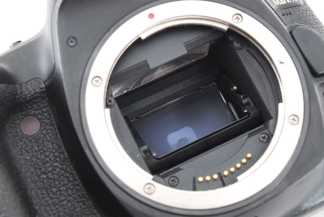 Canon EOS 5D Mark IV ＋　Canon EF 35-80㎜