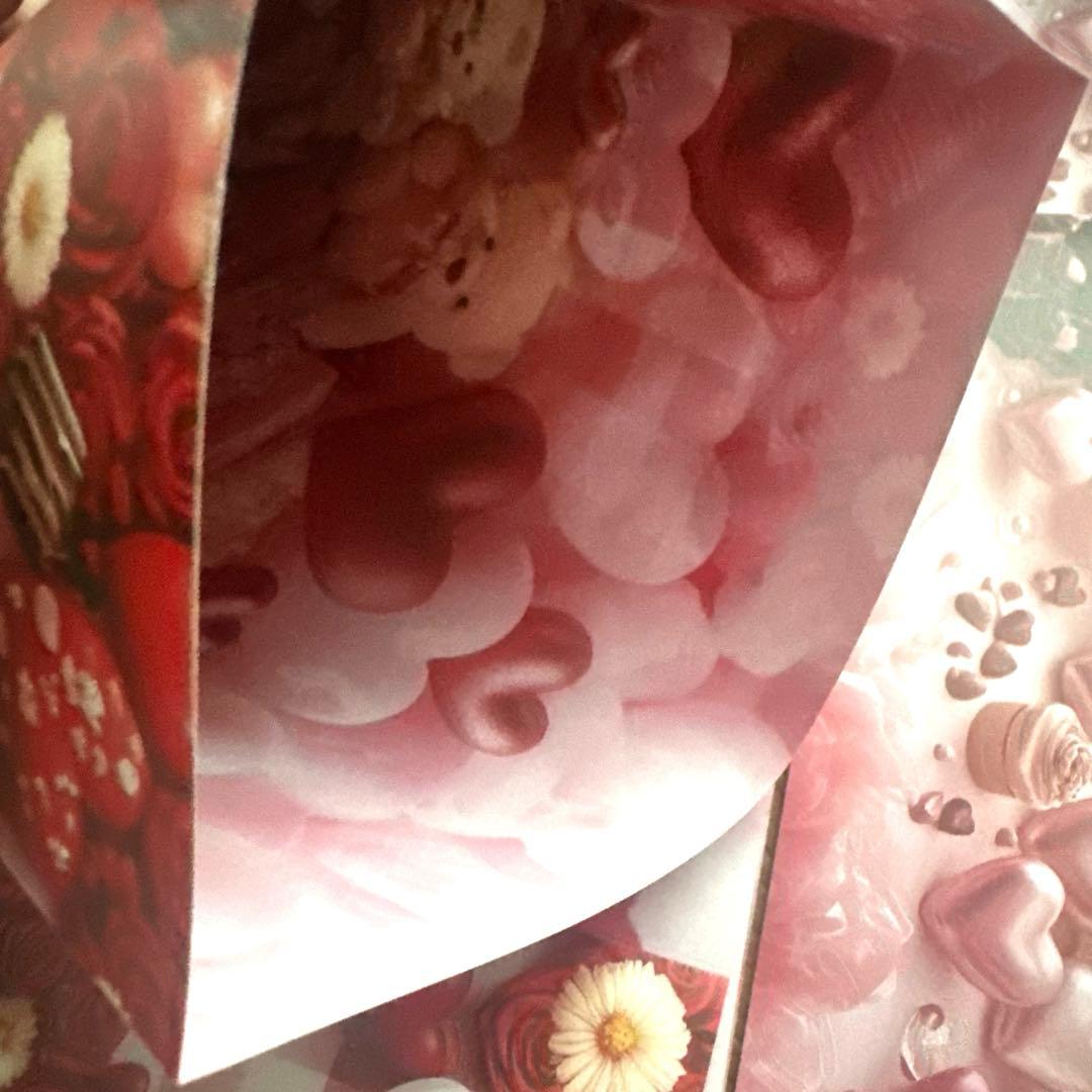 ⭐ななちょこてんぶち❤さま♥️専用