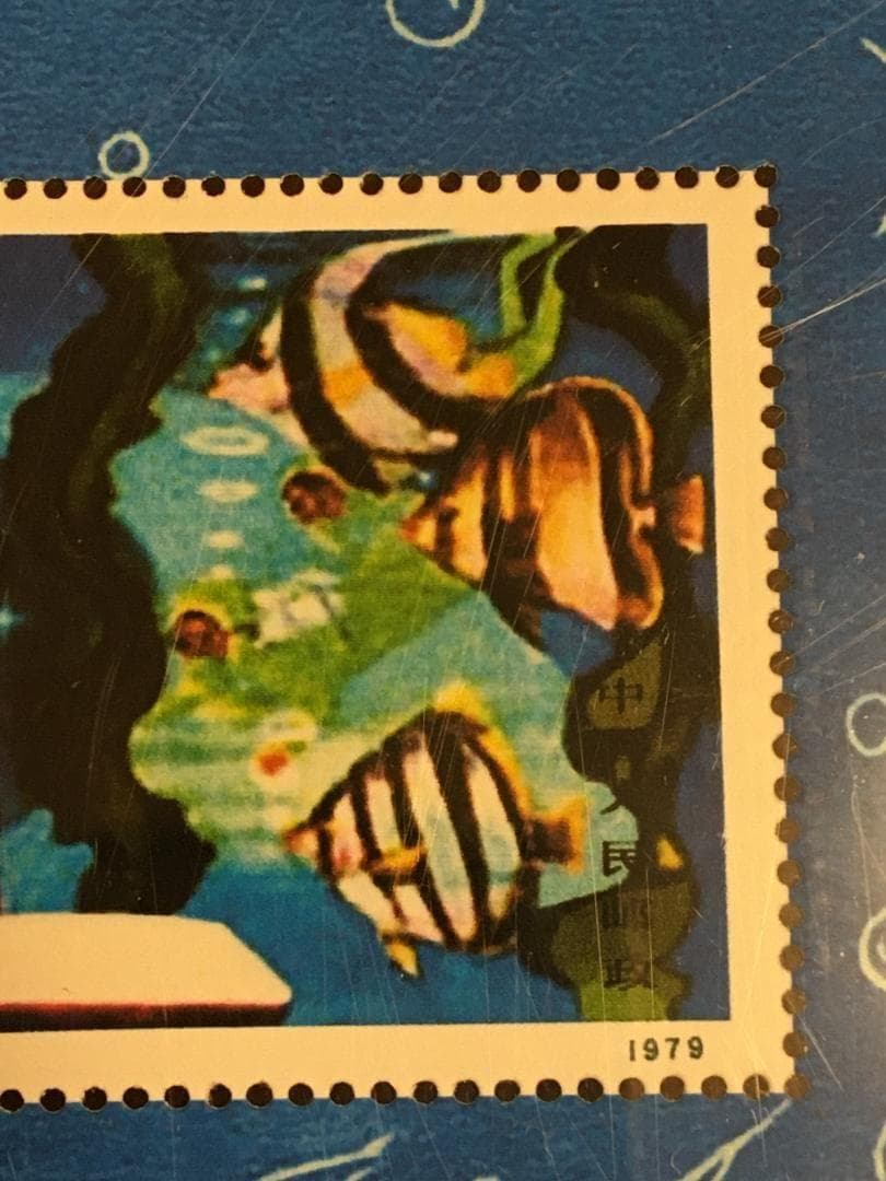 M7)中国1979年発行切手T41M 从小爱科学（小型張）