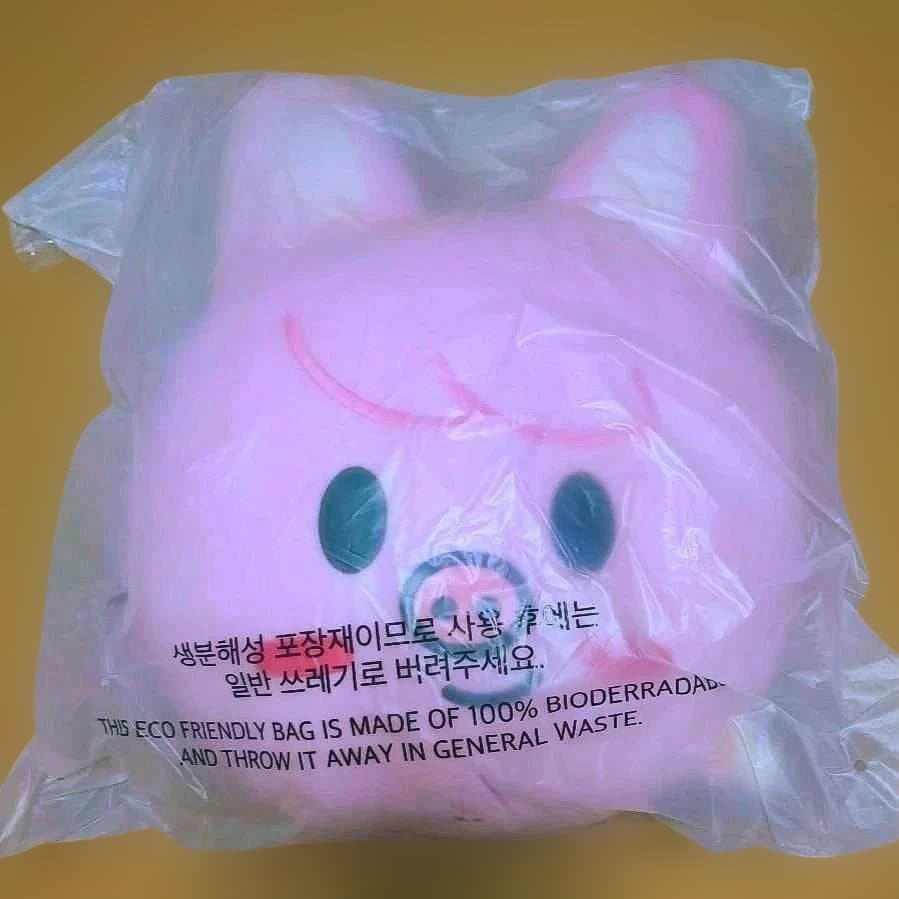 SKZOO CUSHION BABY Ver トェッキ チャンビン