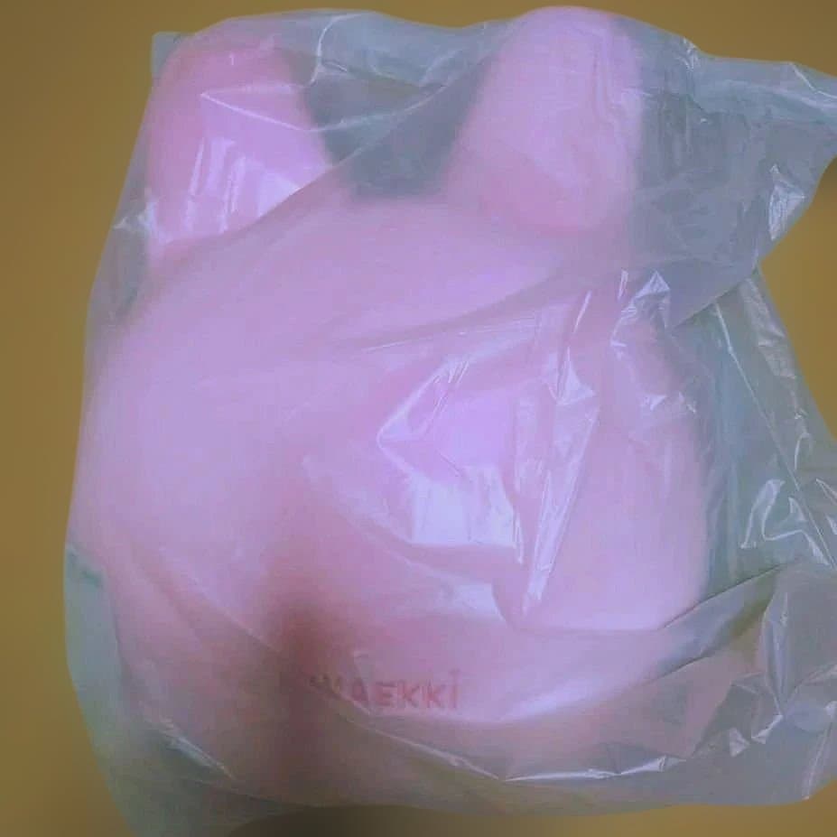SKZOO CUSHION BABY Ver トェッキ チャンビン