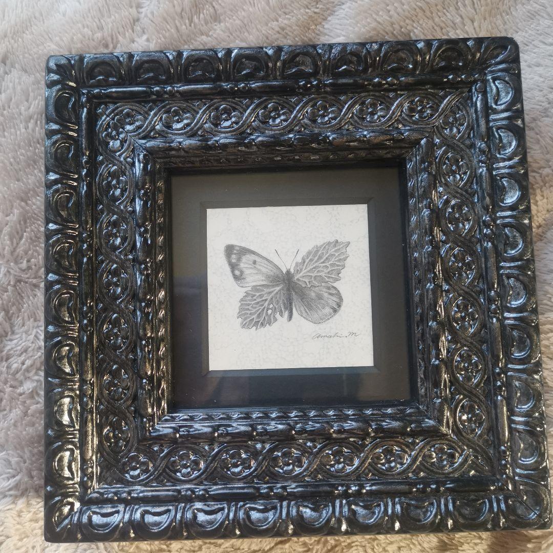 ★希少★真作★森天飛★葉蝶 モンキチョウ★サイン有り