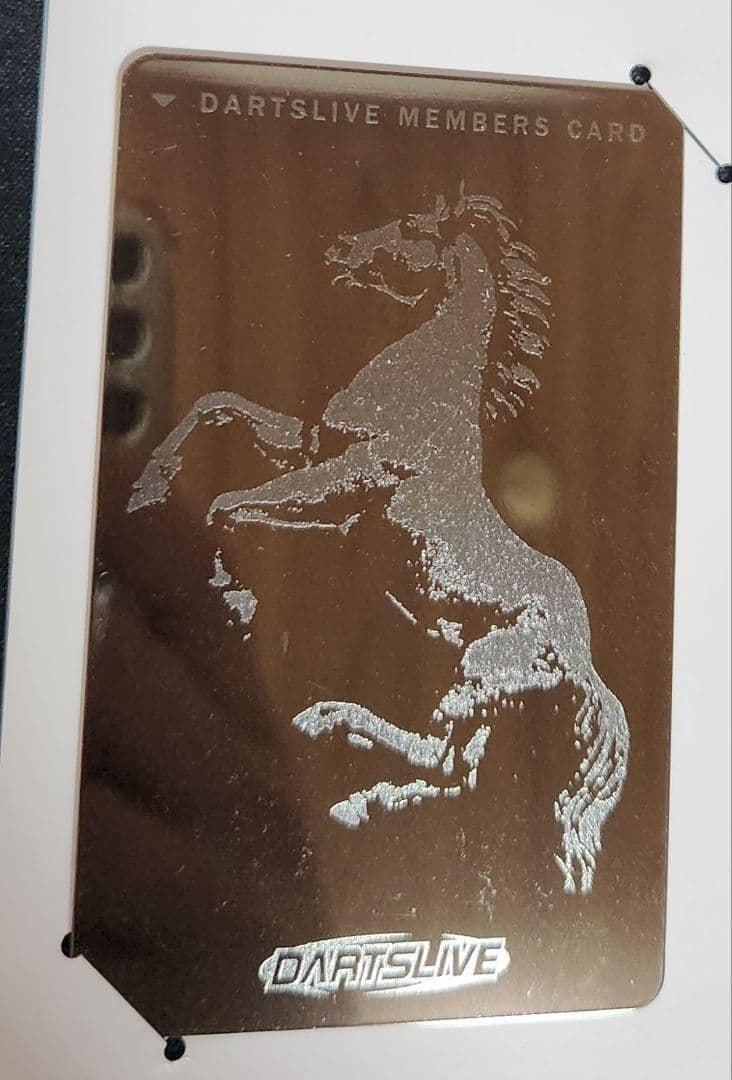 【激レア】ダーツライブカード シルバーホース