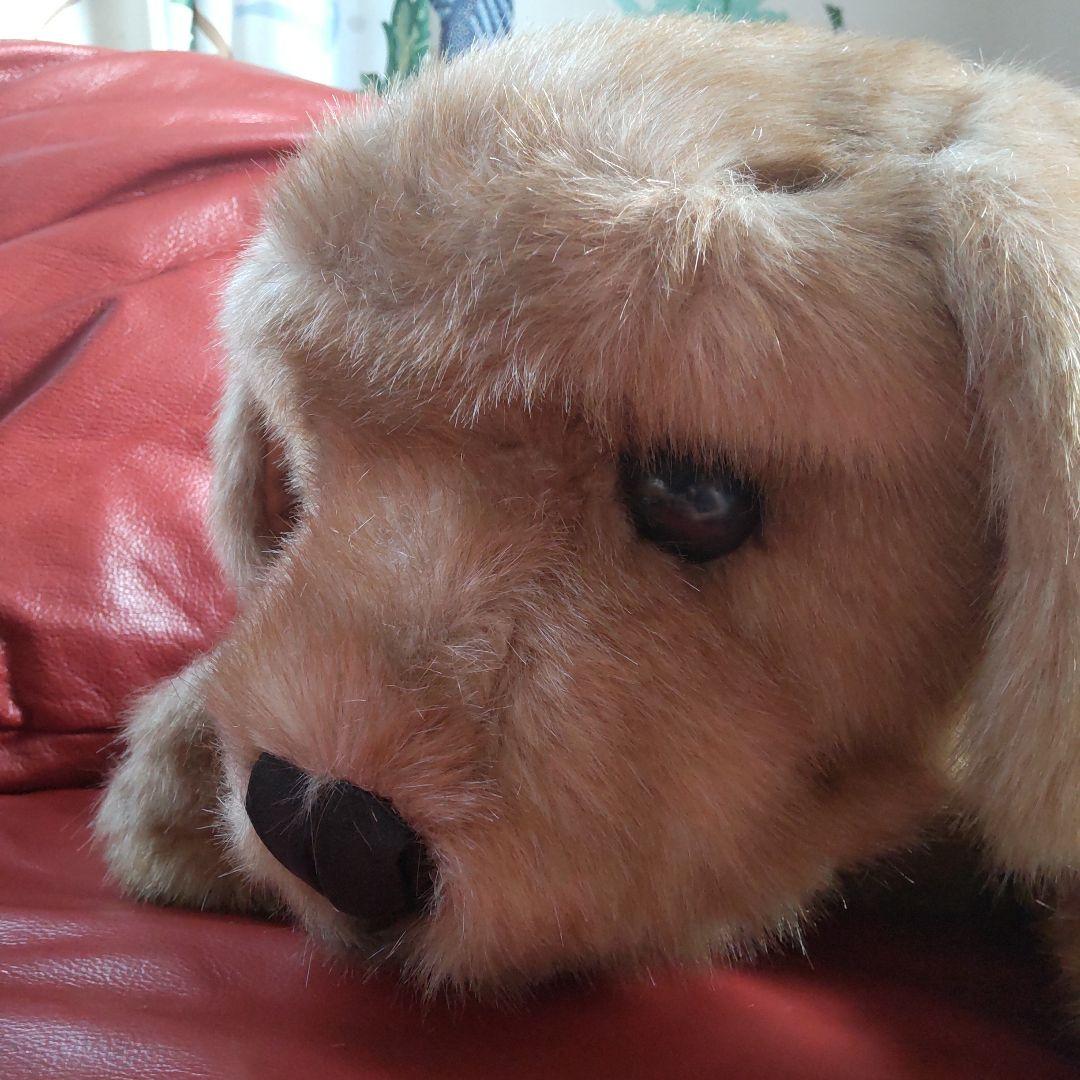 三英　ゴールデンレトリバー　レトロ　特大　1m以上　実物大