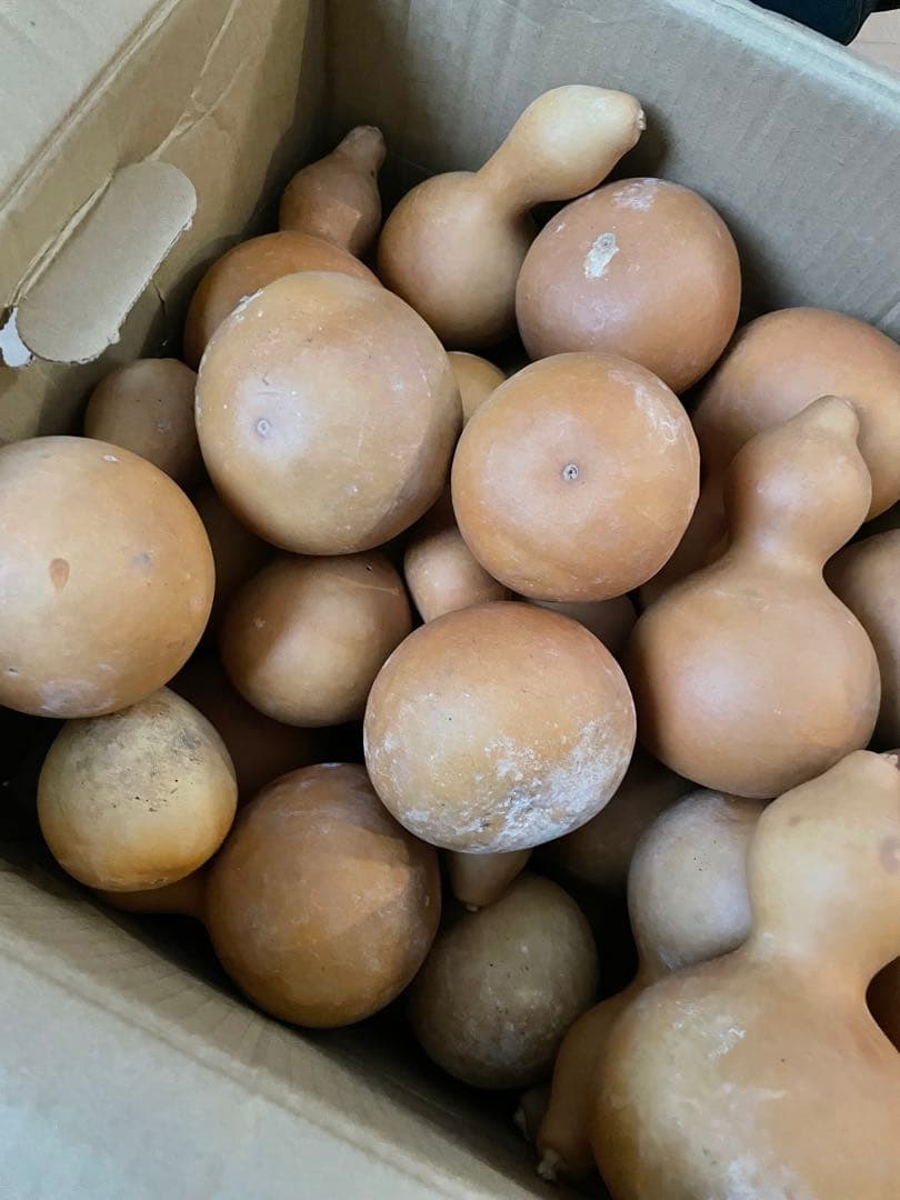 【40個】ひょうたん　瓢箪　千成瓢箪　まとめ売り　無病息災　置物　縁起物(I)