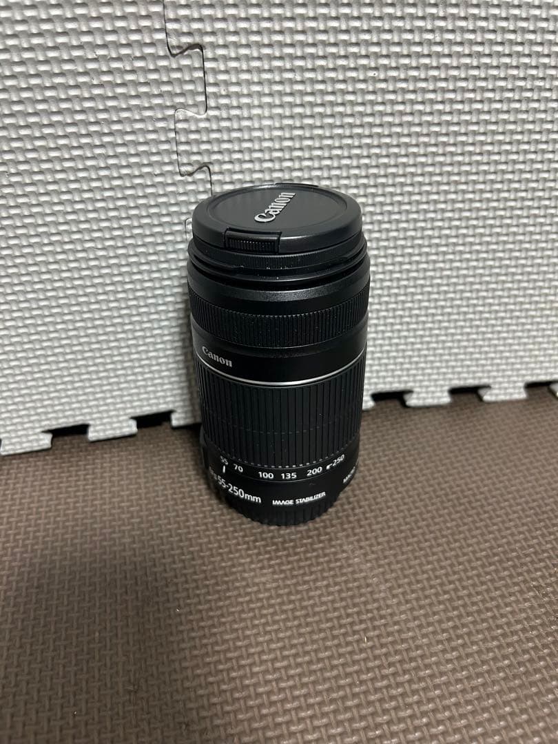 Canon EF-S 55-250mm f/4-5.6 IS Ⅱ