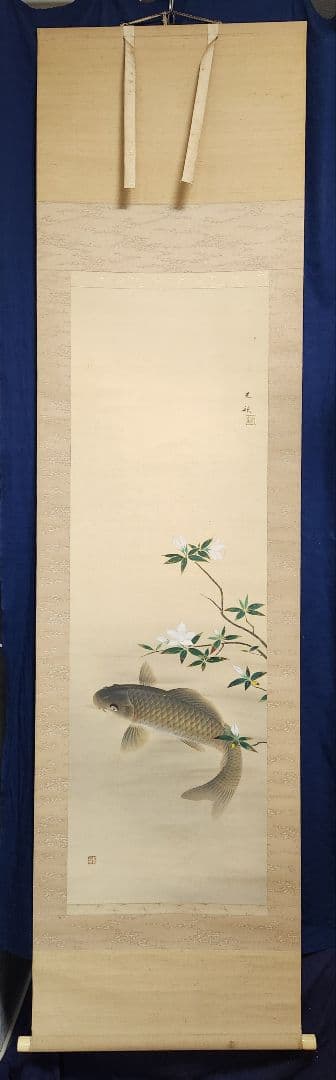 【遊鯉図】佐野光穂 2639 コイ 掛け軸　肉筆