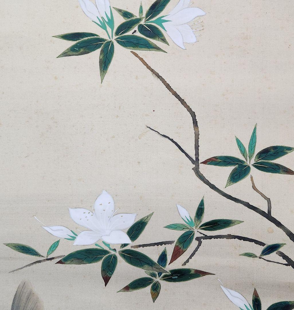 【遊鯉図】佐野光穂 2639 コイ 掛け軸　肉筆