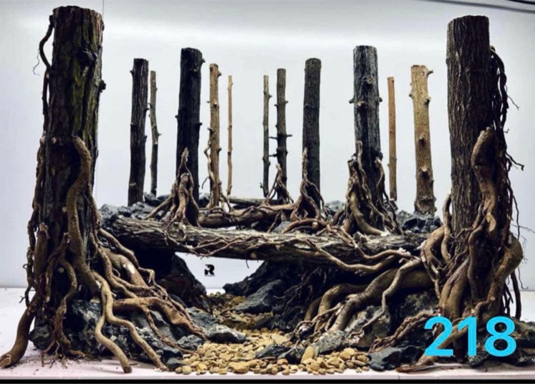 TTD 【⭐︎ ユイ様⭐︎】【美品・数量限定】