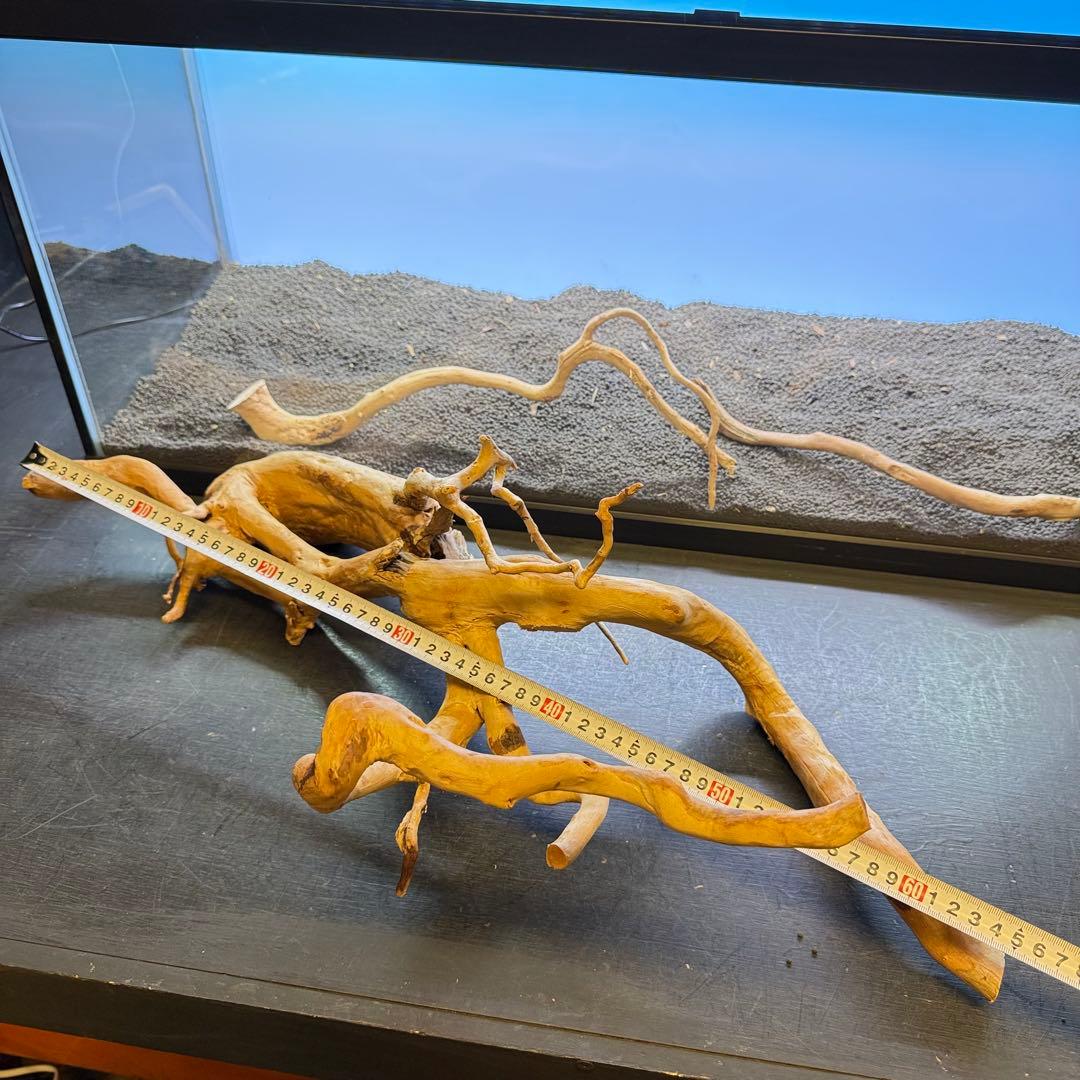 MDW-7104 ブランチウッド4本セット　流木セット　枝流木　アクアリウム