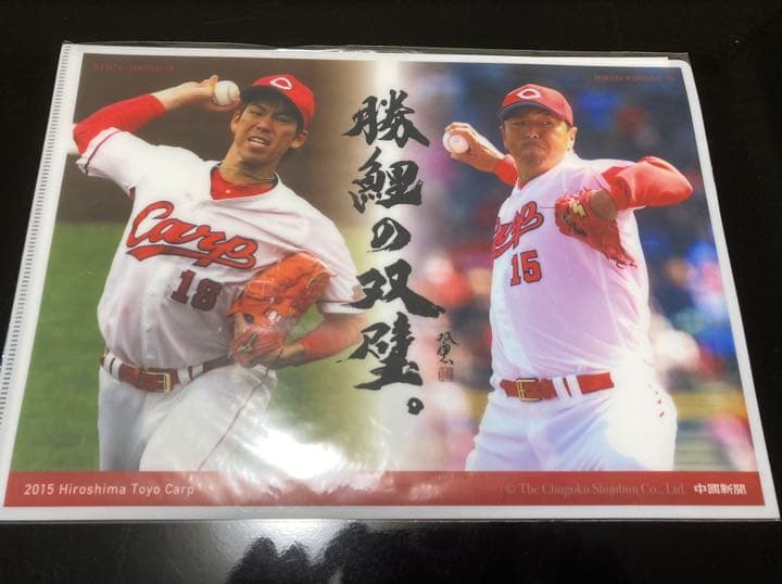 勝鯉の双璧ファイル