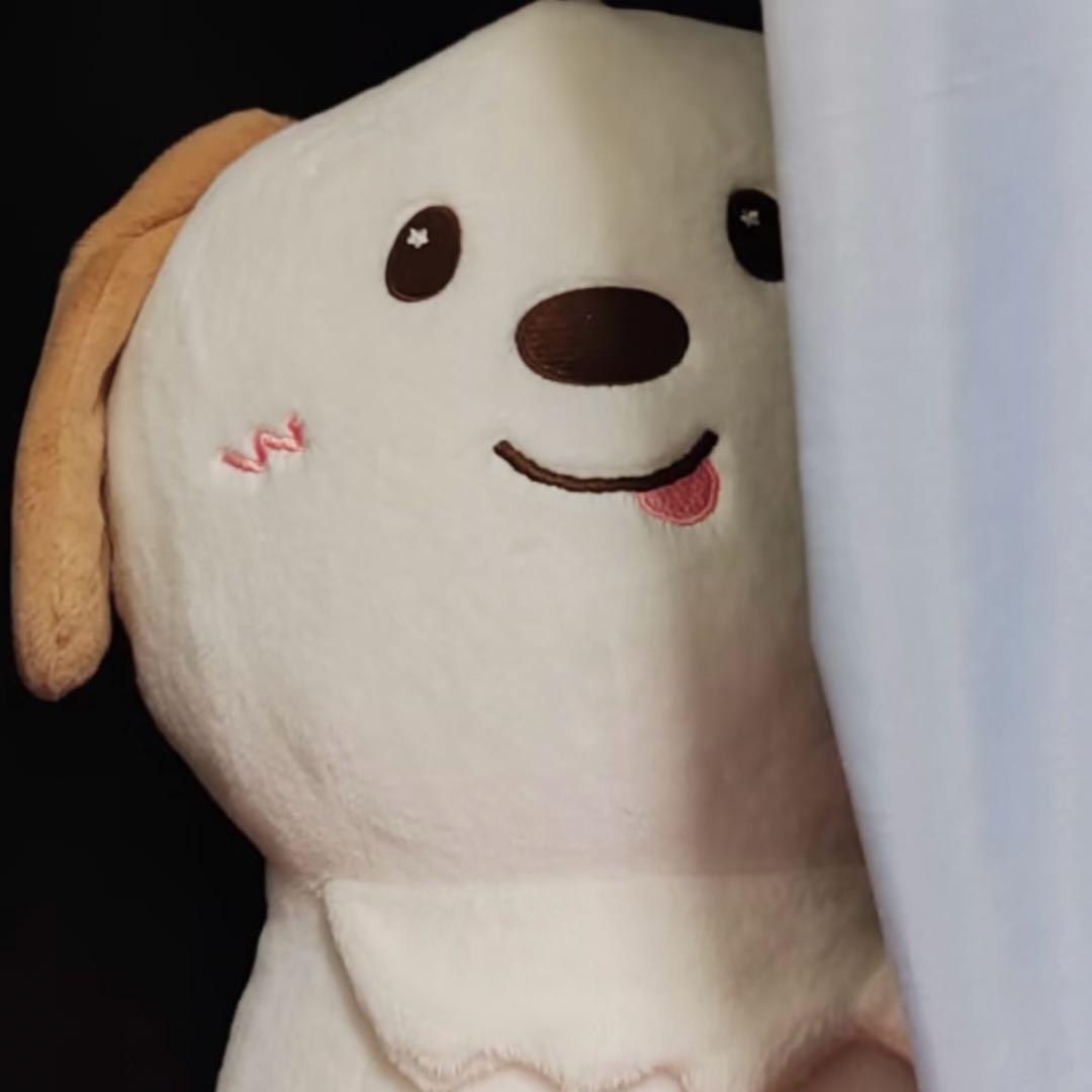 モンリョンイ ぬいぐるみ　40cm